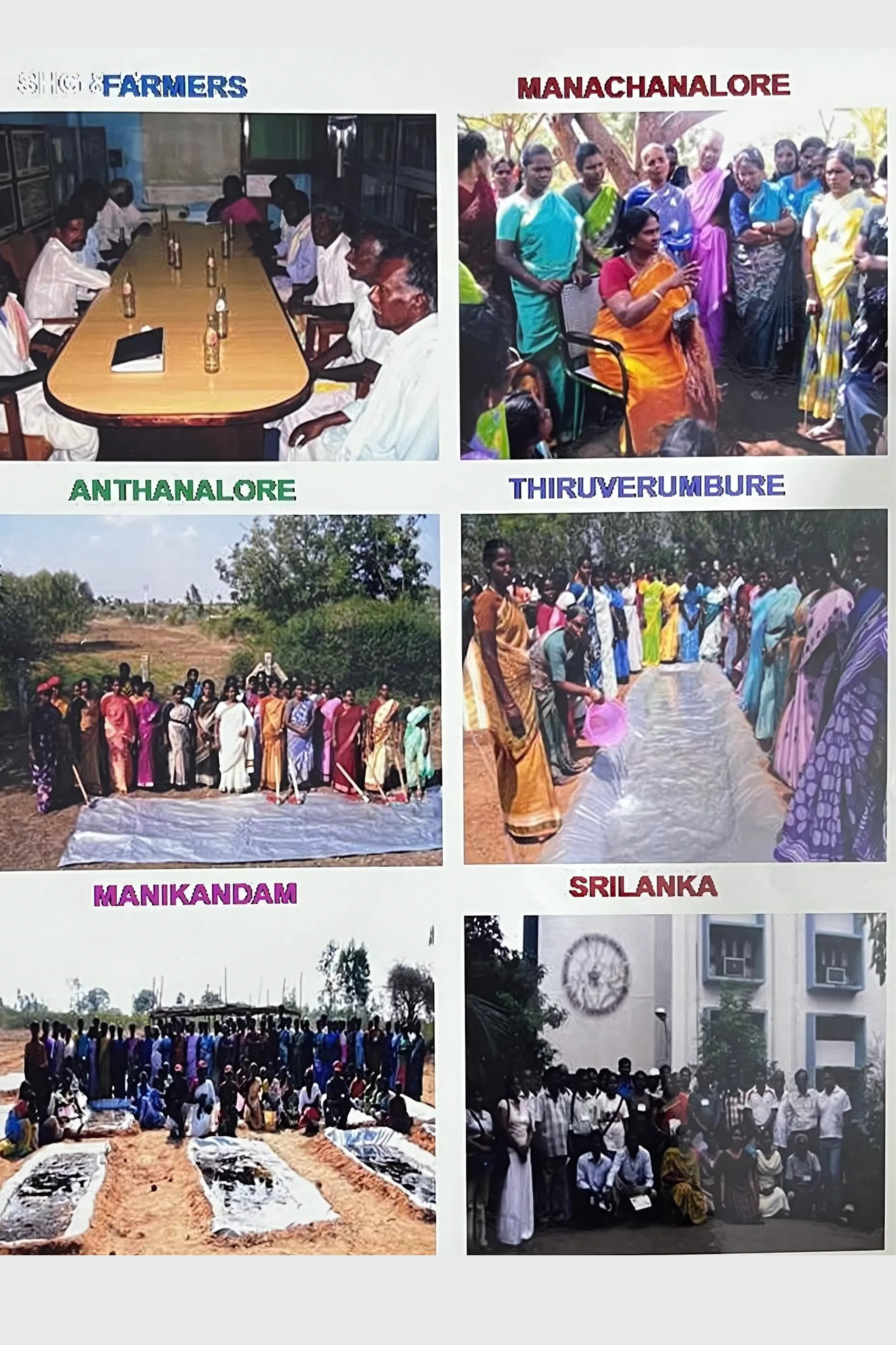 Training Programs on Organic Farming and Biofertilizer Usage